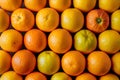 Group of orange fruits, vibrant citrus display concept