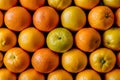 Group of orange fruits, vibrant citrus display concept