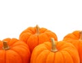 Group Of Orange Gourds Over White