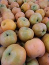 Group of orange green multicolored apples organized in rows at a market