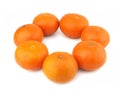 Group of oranges Royalty Free Stock Photo