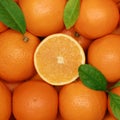 Group of oranges with leaves