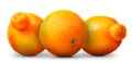 Group of oranges and mandarins isolated on white Royalty Free Stock Photo