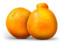 Group of oranges and mandarins isolated on white Royalty Free Stock Photo