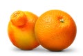 Group of oranges and mandarins isolated on white Royalty Free Stock Photo