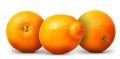 Group of oranges and mandarins isolated on white background Royalty Free Stock Photo