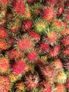 Close up rambutans in supermarket