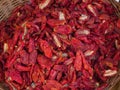 Group of organic sun dried red tomatoes Royalty Free Stock Photo