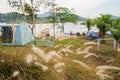 Group outdoor camping tent on green grass ground in the morning, vacation picnic on holiday relax near lake Royalty Free Stock Photo