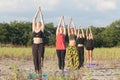 group outdoor yoga and meditation class Royalty Free Stock Photo