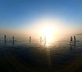 Paddle Boarders At Sunrise Royalty Free Stock Photo