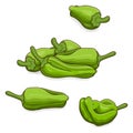 Group of Padron peppers. Cartoon style.