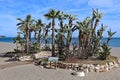 A group of palm trees on the wide deserted beach of Estepona in Spain Royalty Free Stock Photo