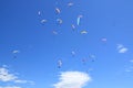 A group of paratroopers fly paragliding over the Italian Alps