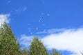 A group of paratroopers fly paragliding over the Italian Alps