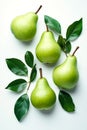 A group of pears with leaves on a white surface Royalty Free Stock Photo