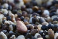 Group of pebbles on the beach
