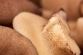 group of peeled mushroom suillus close-up