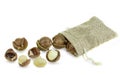 Group peeled and unpeeled macadamia nuts in sack bag at white background