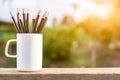 Group of pencils in the white coffee cup Royalty Free Stock Photo