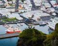 Group of penguins on a cliff with the view of a port town in the background