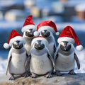 group of penguins at the north pole wearing funny red santa claus hats.