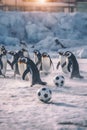 A group of penguins playing soccer in the snow. Generative AI image.
