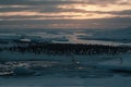 A group of penguins at the South Pole, generative AI