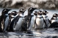 A group of penguins at the South Pole, generative AI