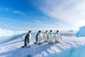 Group of penguins standing on the icy landscape, AI-generatd. Royalty Free Stock Photo