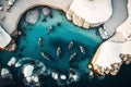 Group of penguins swimming. Drone view. Generative AI. Royalty Free Stock Photo