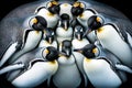 Group of penguins. Top view. Generative AI. Royalty Free Stock Photo