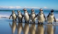 Group of Penguins Walking Along Beach Royalty Free Stock Photo