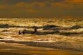 Group of people bathing at Baltic sea during sunset.