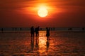 A group of people on the beach in the reflektion of the sunset off Buesum in the Wadden Sea.