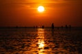 A group of people on the beach in the reflektion of the sunset off Buesum in the Wadden Sea.