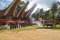 Group of people in black at funeral ceremony. Tana Toraja