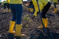 Group of people in bright yellow clothing planting in a garden