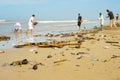 people cleaning ocean beach plastic