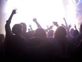 Group of people dancing at music festival from back, lights and energy at live concert event. Dance, fun and crowd of Royalty Free Stock Photo