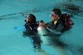 A group of people doing diving training in a swimming pool Royalty Free Stock Photo