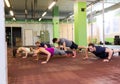 Group of people doing push-ups in gym Royalty Free Stock Photo