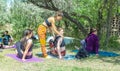 Group of people doing yoga exercise in the park, womans relaxing in the park