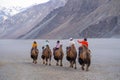 A group of people enjoy riding a camel walking on a sand dune in Hunder, Hunder is a village in the Leh district of Jammu and