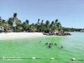 people swim in the water near a beach and palm trees