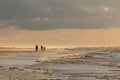 Group of people enjoying an evening stroll along the beach, illuminated by a beautiful sunset Royalty Free Stock Photo