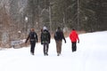 Group of people enjoying a snowshoeing on a trail in winter. A group of people enjoying snowshoeing on a track in winter. Hike in Royalty Free Stock Photo