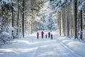 Group of people enjoying winter skiing in snowy forest landscape Royalty Free Stock Photo