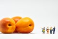 Group of people figurines next to apricots