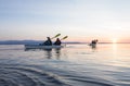 Group of people friends sea kayaking together at sunset in beautiful nature. Active outdoor adventure sports